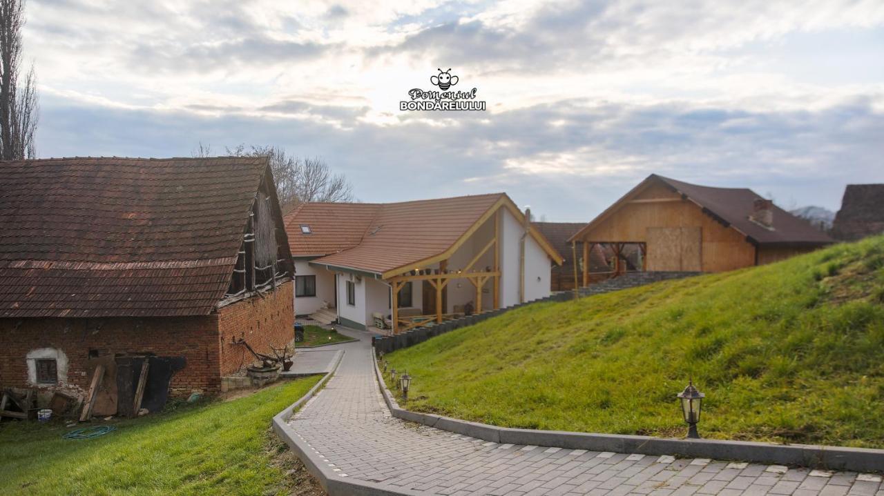 Domeniul Bondarelului Hotel Ocolisu Mic Bagian luar foto
