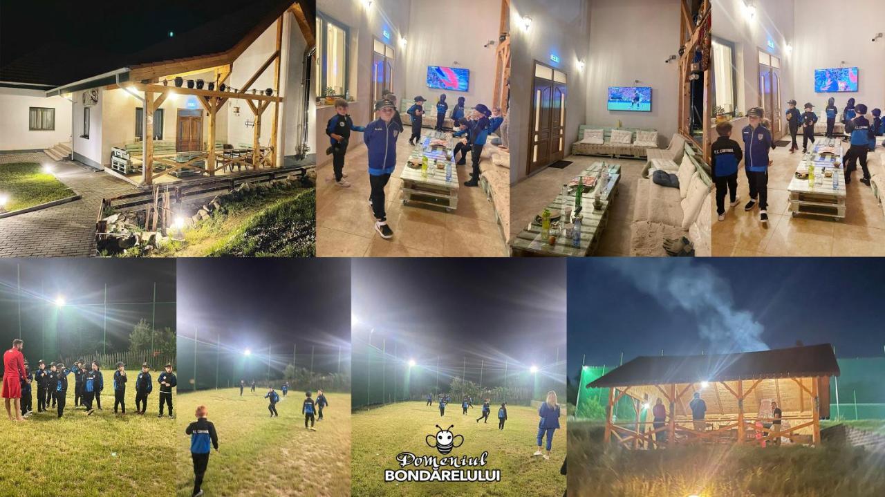 Domeniul Bondarelului Hotel Ocolisu Mic Bagian luar foto
