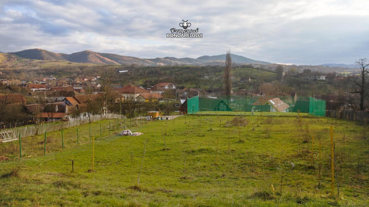 Domeniul Bondarelului Hotel Ocolisu Mic Bagian luar foto